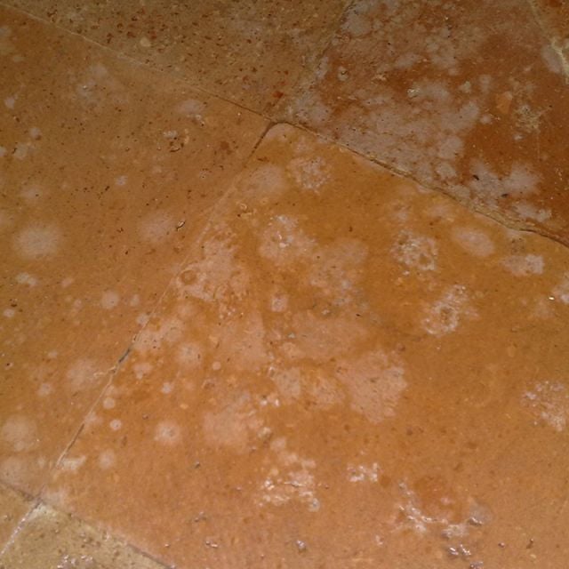 Λευκοί λεκέδες από οινόπνευμα ή αμμωνία ή χλωρίνη